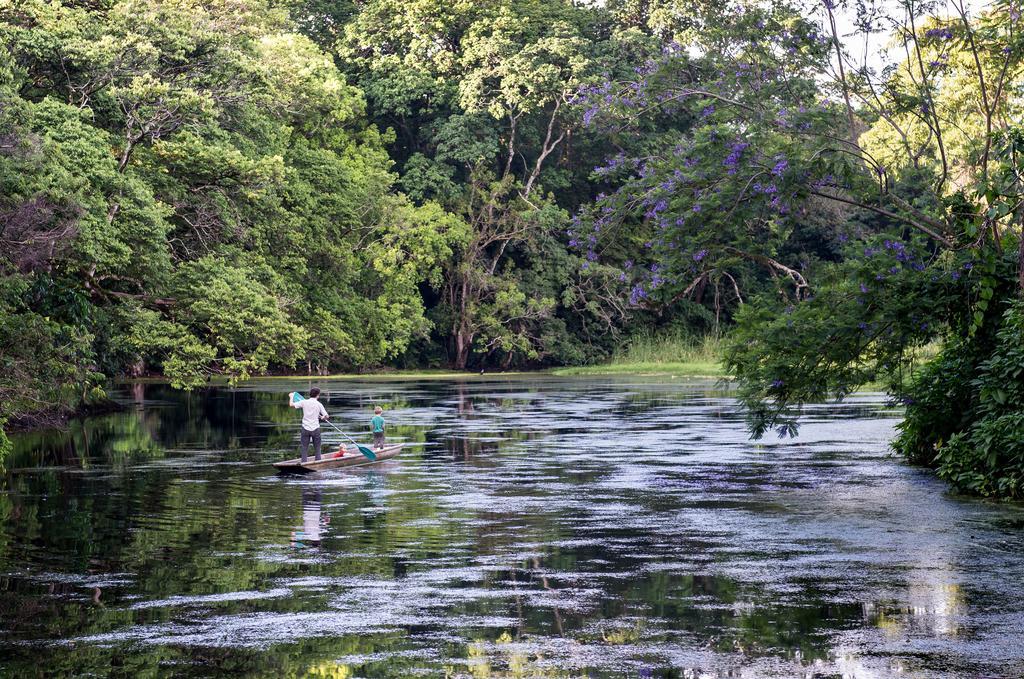 Ngare Sero Mountain Lodge Usa River Buitenkant foto
