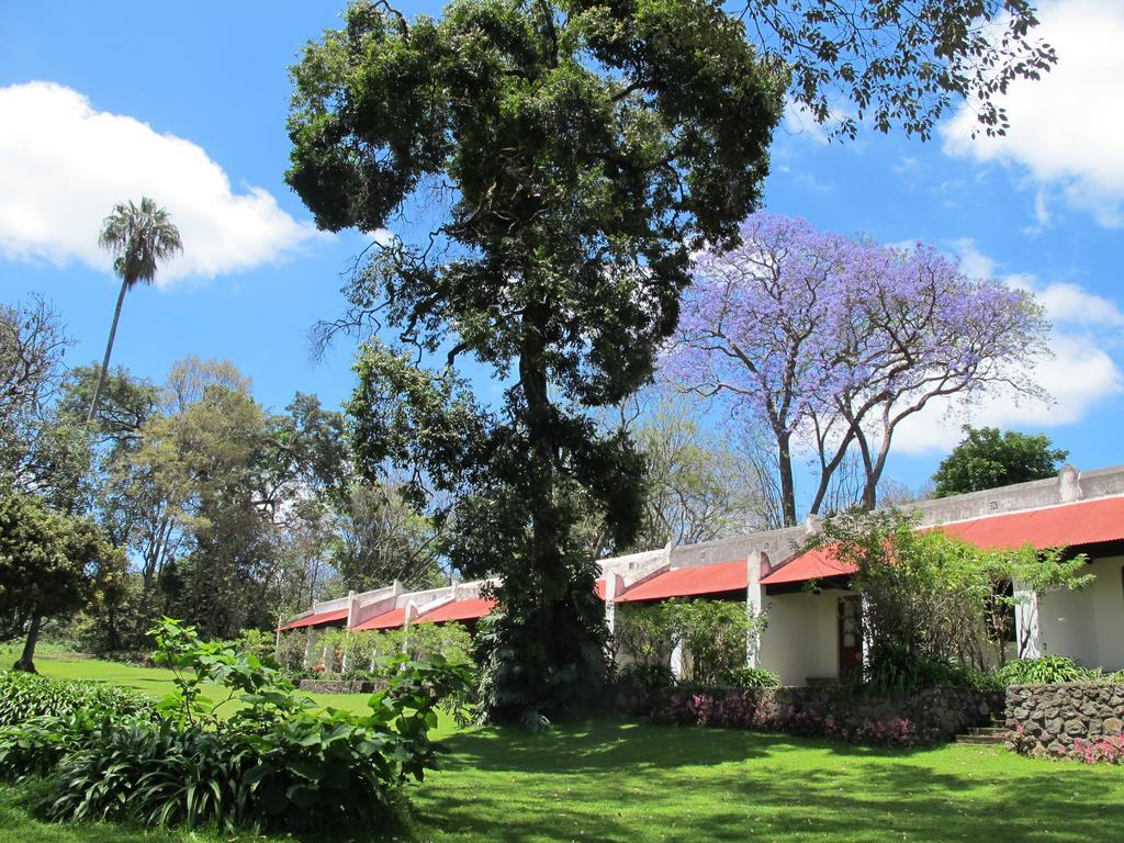 Ngare Sero Mountain Lodge Usa River Kamer foto