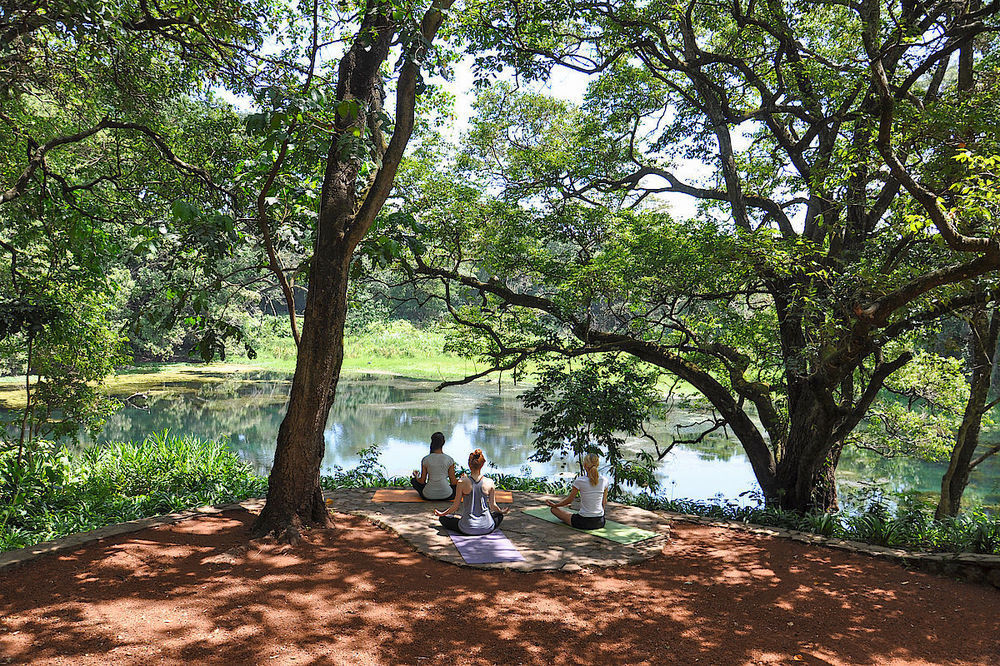 Ngare Sero Mountain Lodge Usa River Buitenkant foto