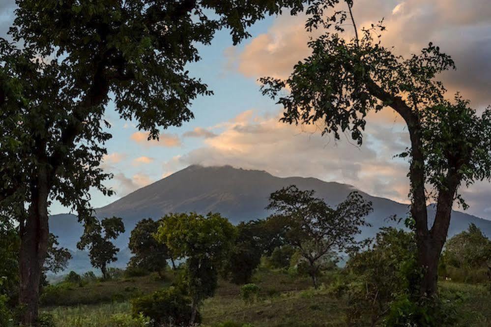 Ngare Sero Mountain Lodge Usa River Buitenkant foto