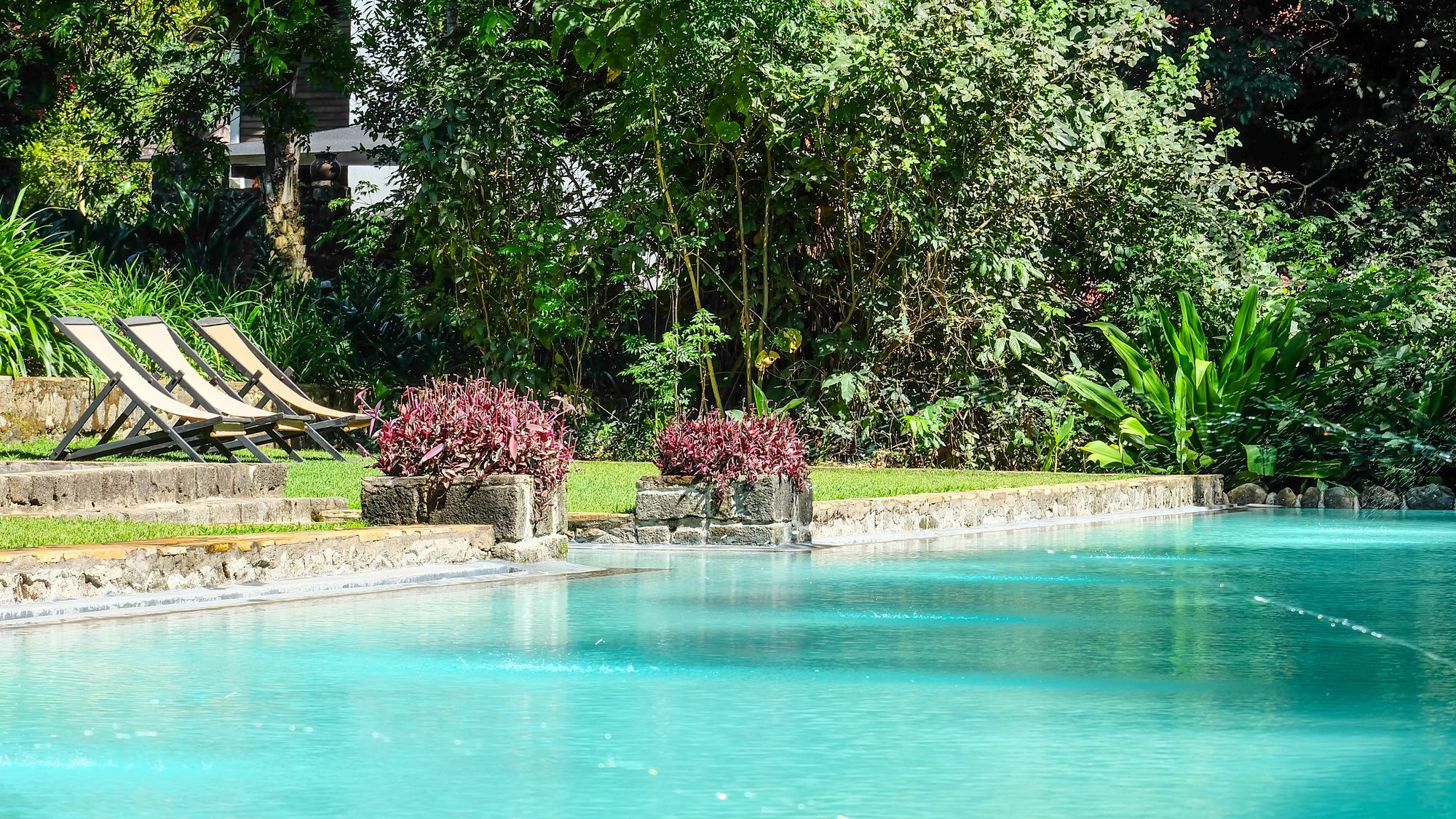 Ngare Sero Mountain Lodge Usa River Buitenkant foto