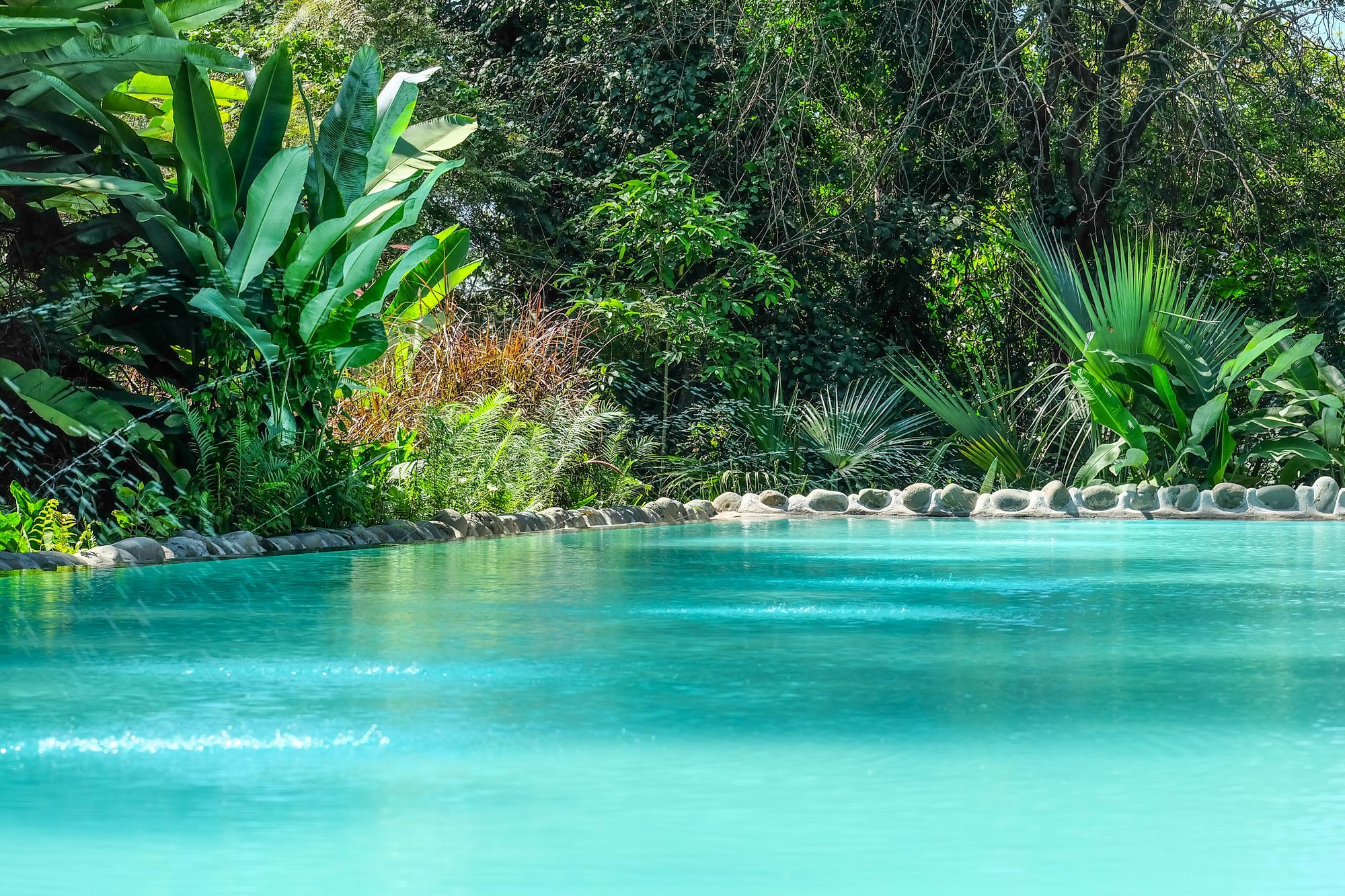 Ngare Sero Mountain Lodge Usa River Buitenkant foto